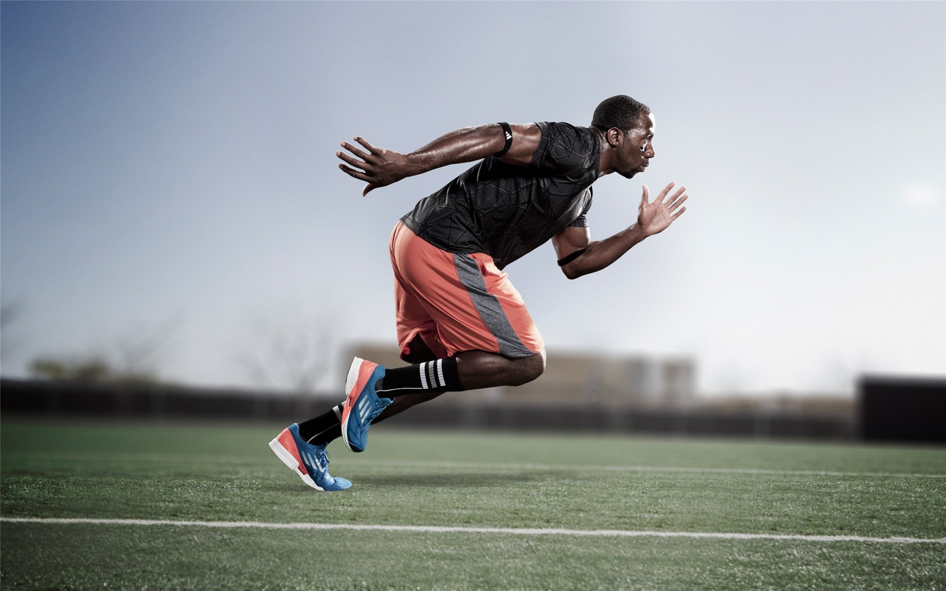 世界杯：多款AI数据可视化工具获球队青睐 赛中平板战术板升级换代